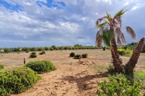 Finka Porto Cristo, Mallorca, Hiszpania 4 sypialnie, 454 mkw. nr 137549 – zdjęcie 30