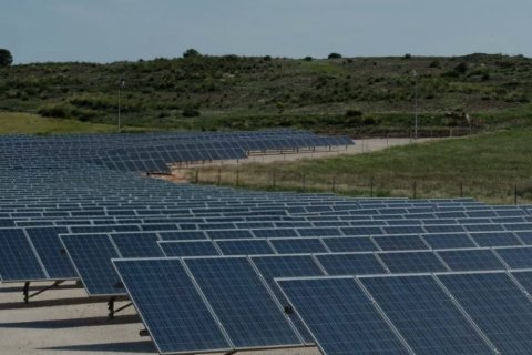 Terreno in vendita a Algorfa, Alicante, Spagna 41570 mq. N° 152790 - foto 3