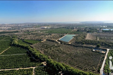 Земельный участок в Альгорфа, Аликанте, Испания 41570м2 №152790