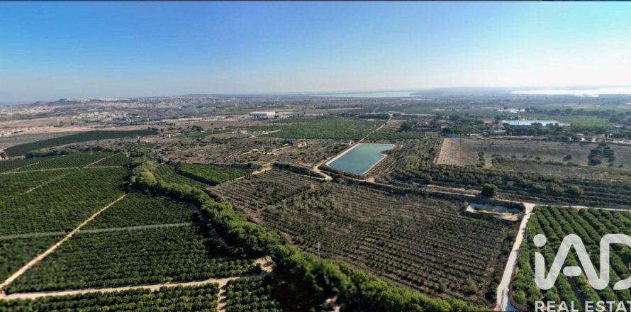 Terreno a Algorfa, Alicante, Spagna 41570 mq. N° 152790