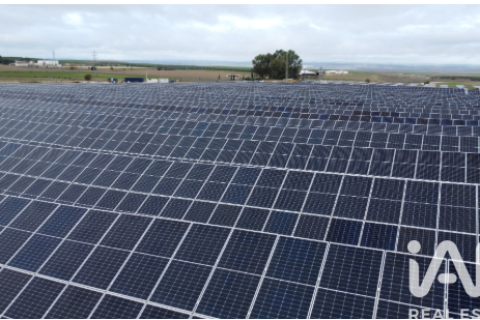 Terreno in vendita a Algorfa, Alicante, Spagna 41570 mq. N° 152790 - foto 4