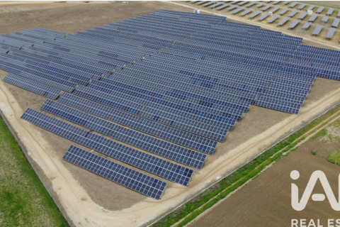 Terreno in vendita a Algorfa, Alicante, Spagna 41570 mq. N° 152790 - foto 6