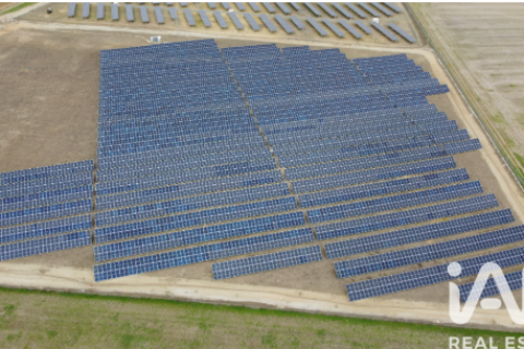 Terreno in vendita a Algorfa, Alicante, Spagna 41570 mq. N° 152790 - foto 5