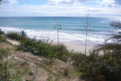 Duplex for sale in El Campello, Alicante, Spain 3 bedrooms, 110 sq.m. No. 180905 - photo 6