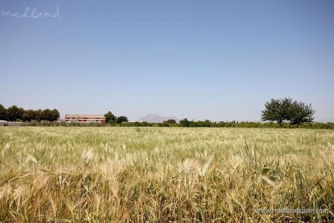 Appartamento in vendita a Benijofar, Alicante, Spagna 4 camere da letto, 88 mq. N° 147178 - foto 14