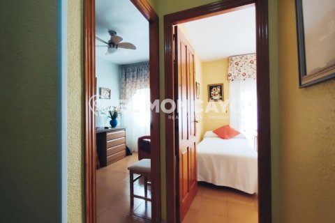 House à vendre à Guardamar del Segura, Alicante, Espagne, 4 chambres, 179 m2 No. 149069 - photo 20