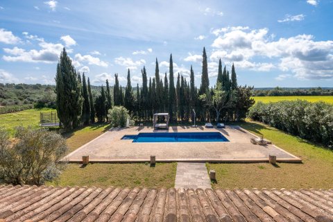 Finca för uthyrning i Campos, Mallorca, Spanien 5 sovrum, 507 kvm. Nr. 182118 - foto 4