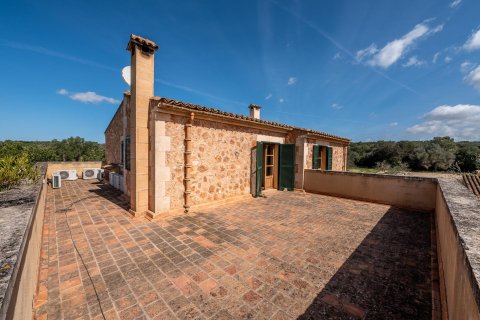 Finca för uthyrning i Campos, Mallorca, Spanien 5 sovrum, 507 kvm. Nr. 182118 - foto 22