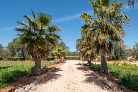 Finca för uthyrning i Campos, Mallorca, Spanien 5 sovrum, 507 kvm. Nr. 182118 - foto 6