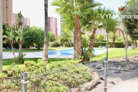 Apartment for rent in Benidorm, Alicante, Spain 2 bedrooms, 70 sq.m. No. 166266 - photo 21