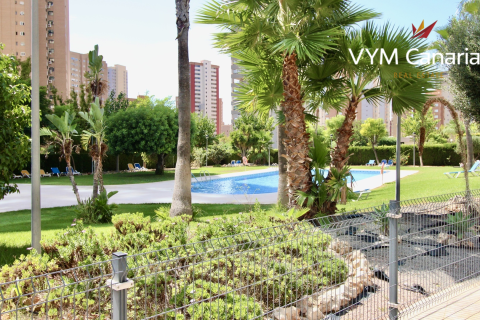 Apartment for rent in Benidorm, Alicante, Spain 2 bedrooms, 70 sq.m. No. 166266 - photo 22