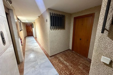 Wohnung zum Verkauf in Benidorm, Alicante, Spanien 1 Schlafzimmer, 61 m2 Nr. 165474 - Foto 16