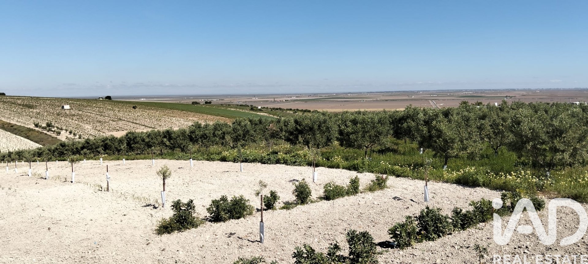 Zemes gabals Lebrija, Seville, Spānijā 9500 m2 Nr. 184950