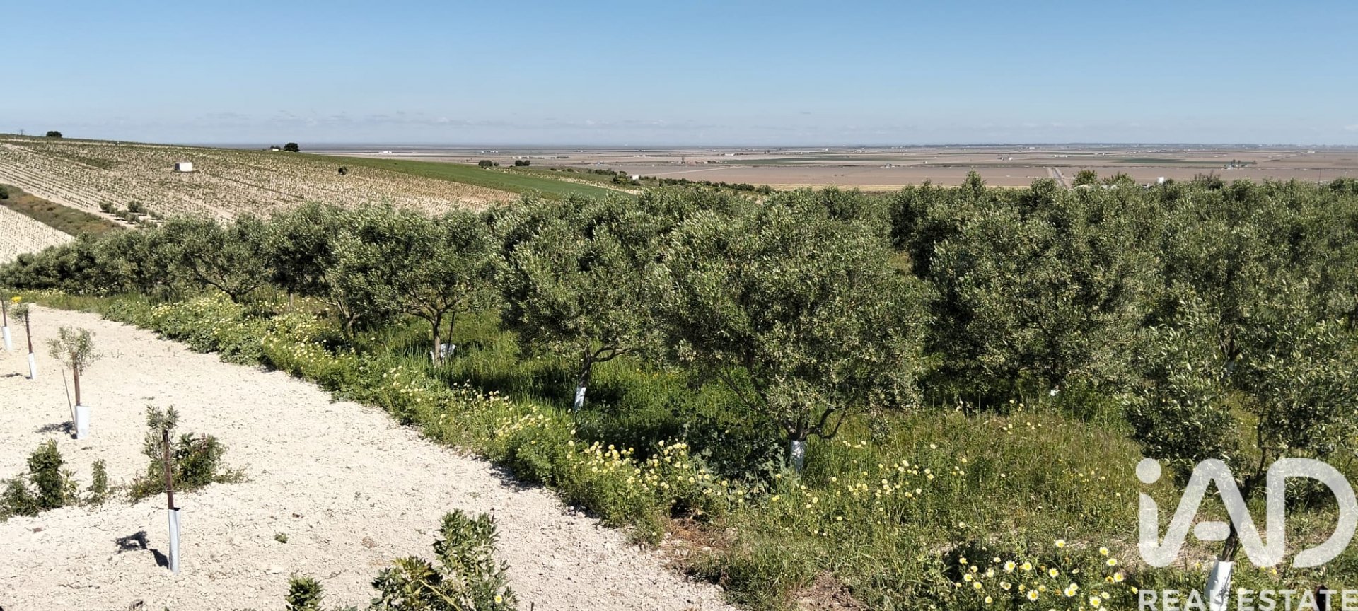 Zemes gabals Lebrija, Seville, Spānijā 9500 m2 Nr. 184950