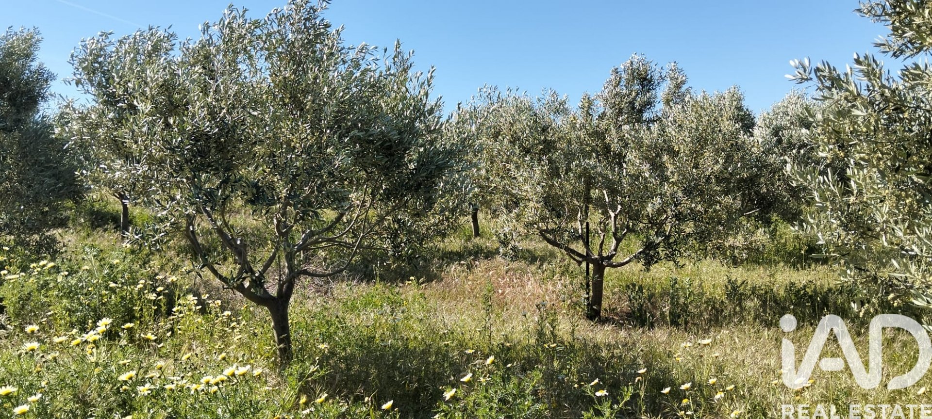 Zemes gabals Lebrija, Seville, Spānijā 9500 m2 Nr. 184950