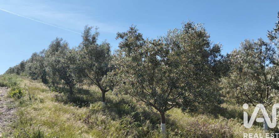 Terreno a Lebrija, Seville, Spagna 9500 mq. N° 184950