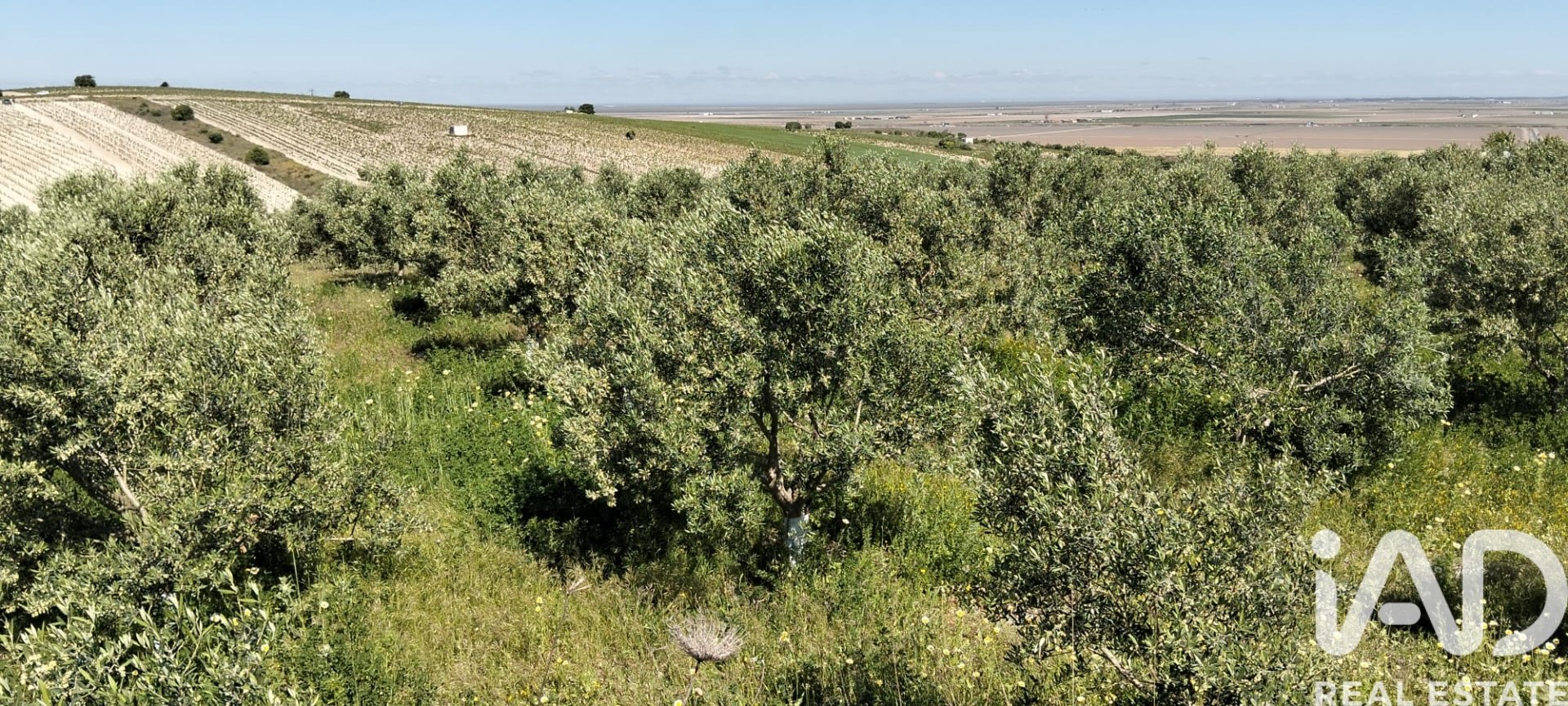 Zemes gabals Lebrija, Seville, Spānijā 9500 m2 Nr. 184950