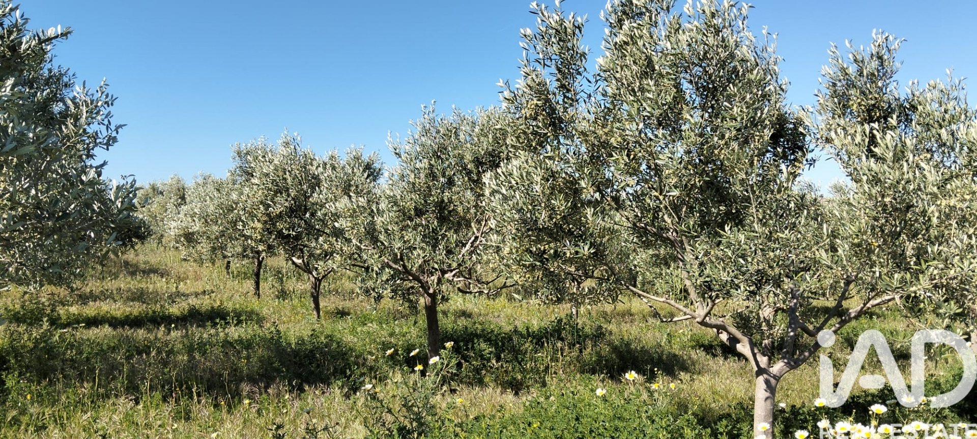 Zemes gabals Lebrija, Seville, Spānijā 9500 m2 Nr. 184950
