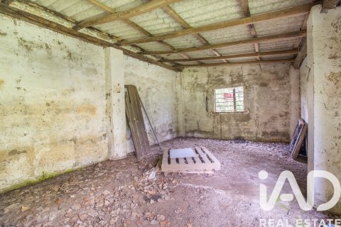 Продажа земельного участка в Галароса, Уэльва, Испания 6500м2 №184949 - фото 7