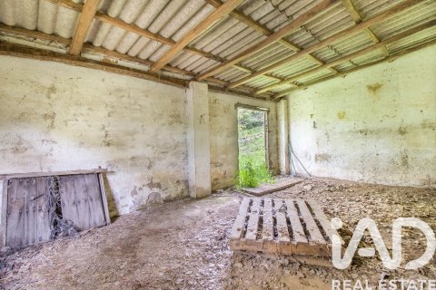 Продажа земельного участка в Галароса, Уэльва, Испания 6500м2 №184949 - фото 8