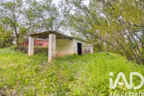Продажа земельного участка в Галароса, Уэльва, Испания 6500м2 №184949 - фото 3