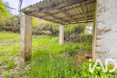 Продажа земельного участка в Галароса, Уэльва, Испания 6500м2 №184949 - фото 5