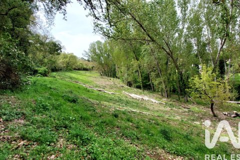 Продажа земельного участка в Галароса, Уэльва, Испания 6500м2 №184949 - фото 18