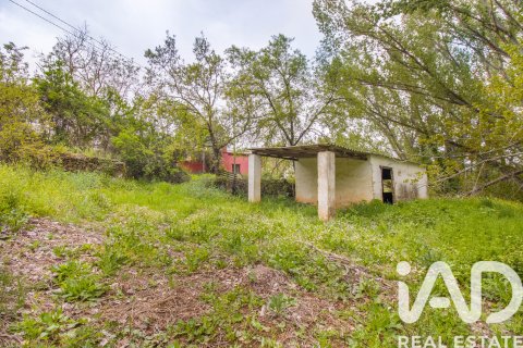 Продажа земельного участка в Галароса, Уэльва, Испания 6500м2 №184949 - фото 4