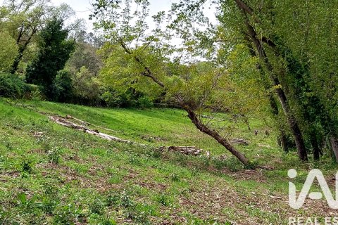 Продажа земельного участка в Галароса, Уэльва, Испания 6500м2 №184949 - фото 16