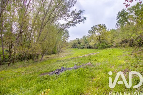 Продажа земельного участка в Галароса, Уэльва, Испания 6500м2 №184949 - фото 13