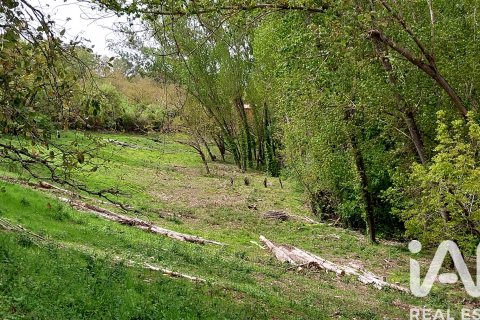 Продажа земельного участка в Галароса, Уэльва, Испания 6500м2 №184949 - фото 17