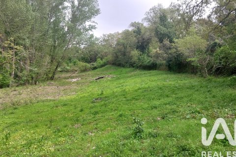 Продажа земельного участка в Галароса, Уэльва, Испания 6500м2 №184949 - фото 11