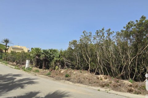 Продажа земельного участка в Дения, Аликанте, Испания 1987м2 №184948 - фото 11
