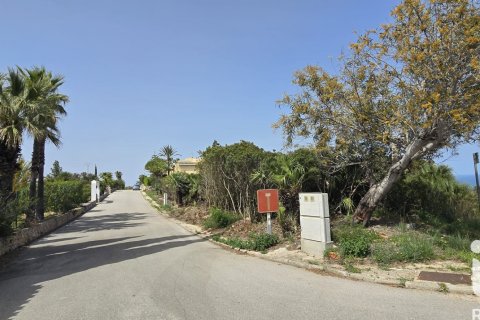 Продажа земельного участка в Дения, Аликанте, Испания 1987м2 №184948 - фото 9