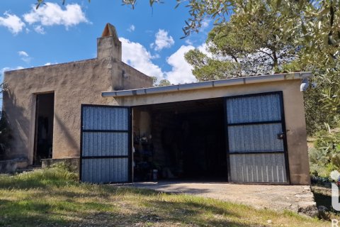 Terreno a El Perello, Tarragona, Spagna 80064 mq. N° 184944
