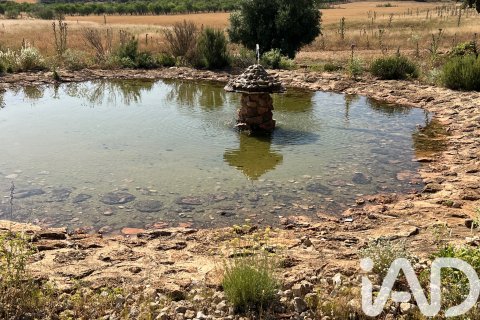 Parcela en venta en Albacete, España 7400000 m2 No. 187982 - foto 26