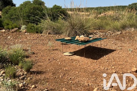 Parcela en venta en Albacete, España 7400000 m2 No. 187982 - foto 29