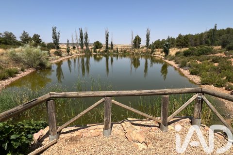 Parcela en venta en Albacete, España 7400000 m2 No. 187982 - foto 22