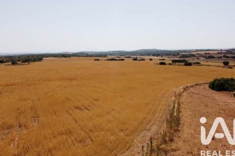 Parcela en venta en Albacete, España 7400000 m2 No. 187982 - foto 27