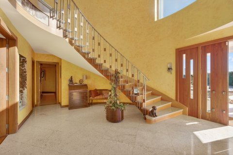 Villa in vendita a Elche, Alicante, Spagna 5 camere da letto, 1499 mq. N° 155764 - foto 16