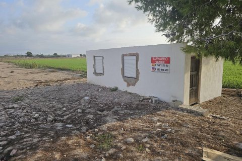 Продажа земельного участка в Долорес, Аликанте, Испания 30м2 №183599 - фото 3