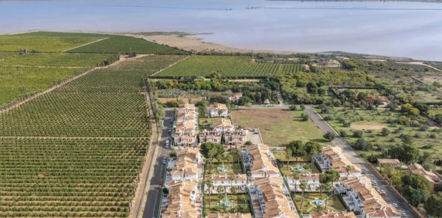 Apartment à Torrevieja, Alicante, Espagne 1 chambre, 40 m2 No. 183598