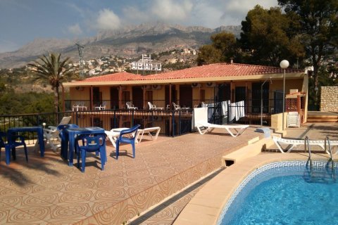 Commercial property for sale in Altea, Alicante, Spain 1200 sq.m. No. 195325 - photo 2