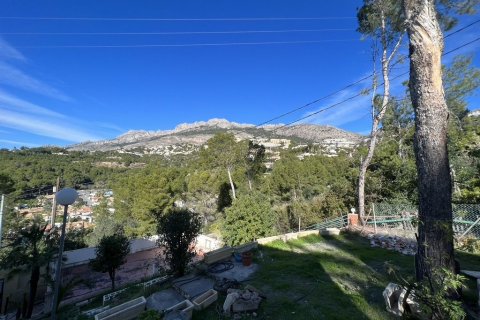 Commercial property for sale in Altea, Alicante, Spain 1200 sq.m. No. 195325 - photo 28