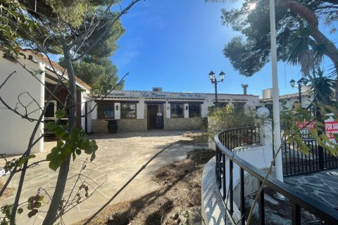 Lokal usługowy w Alicante, Hiszpania 335 mkw. nr 195329 – zdjęcie 3