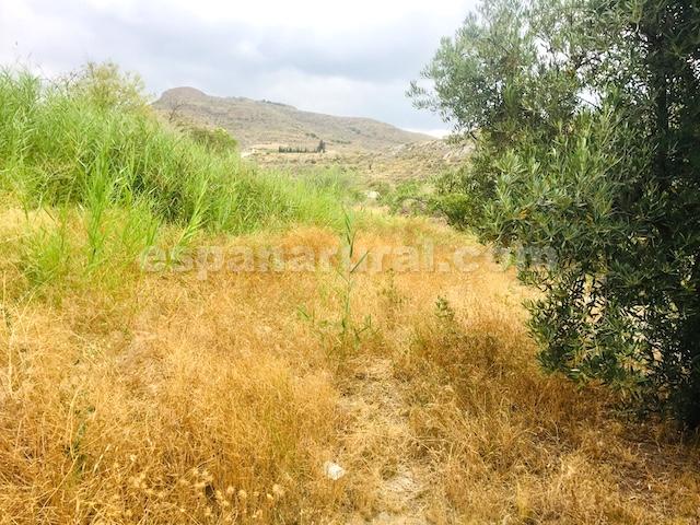 House in Lucar, Almeria, Spain 3 bedrooms, 350 sq.m. No. 184100