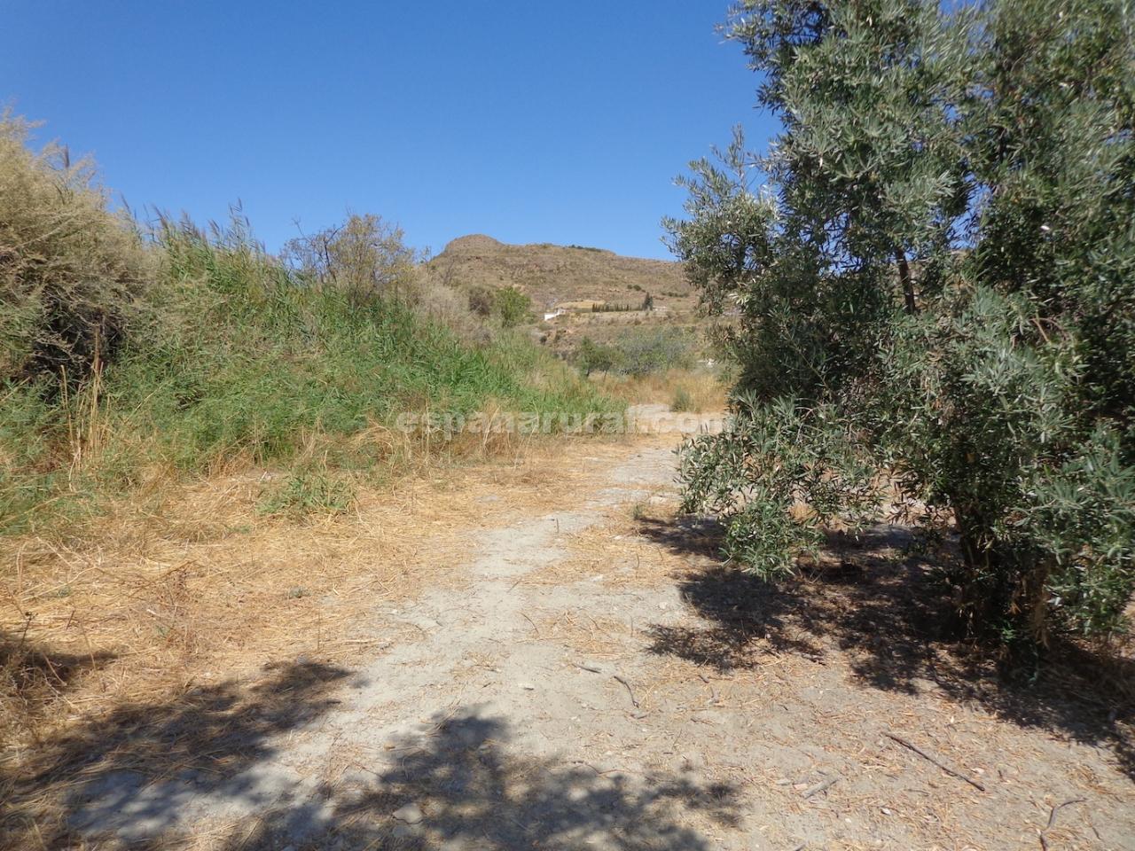 House in Lucar, Almeria, Spain 3 bedrooms, 350 sq.m. No. 184100