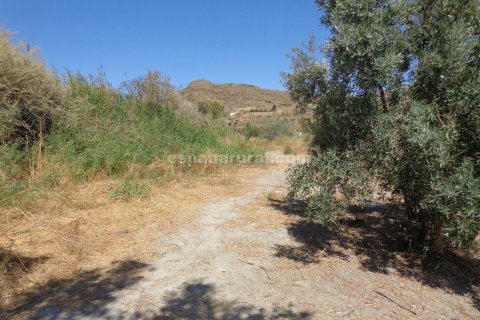 House for sale in Lucar, Almeria, Spain 3 bedrooms, 350 sq.m. No. 184100 - photo 5