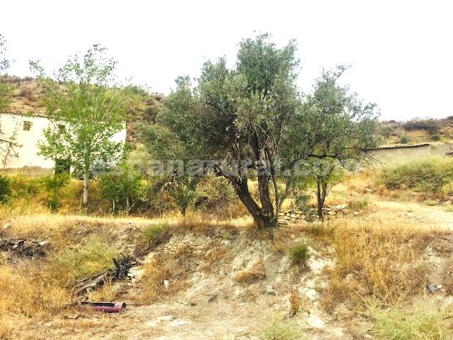 House in Lucar, Almeria, Spain 3 bedrooms, 350 sq.m. No. 184100
