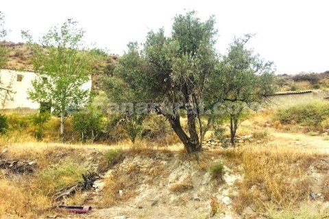 House for sale in Lucar, Almeria, Spain 3 bedrooms, 350 sq.m. No. 184100 - photo 10